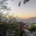 La Pena Del Colibri