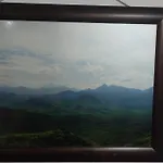 La Pena Del Colibri