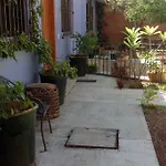 Casa Ocelote Homme Office