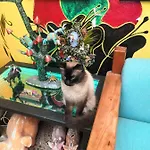 Hostal Oaxaca Magic