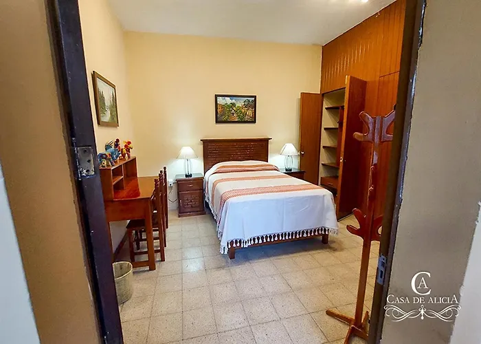Casa De Alicia Departamento Yagul