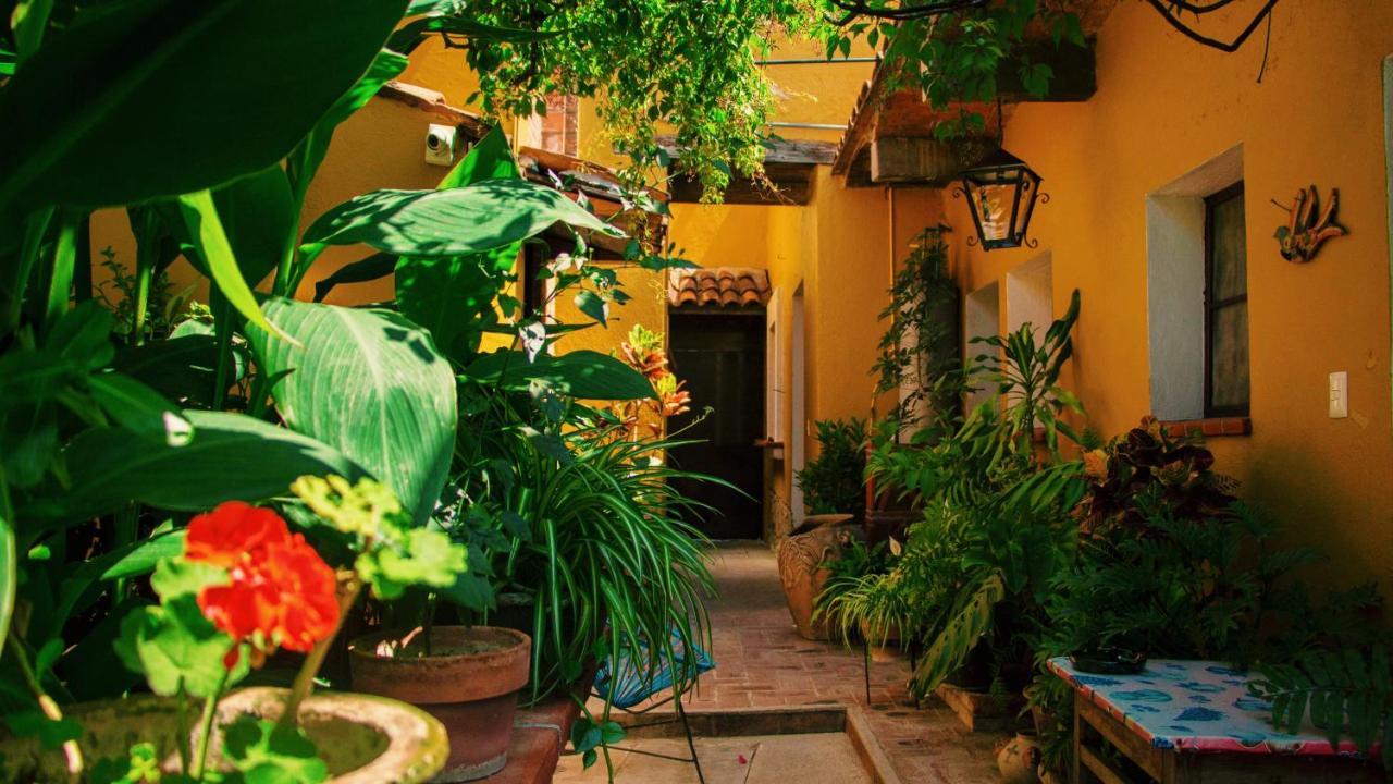 Hotel Golondrinas