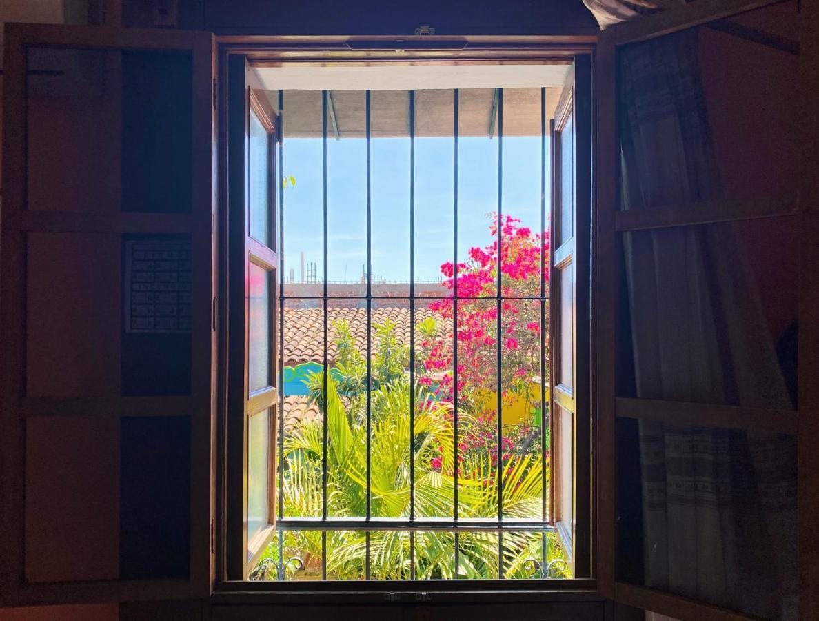 Golondrinas Oaxaca