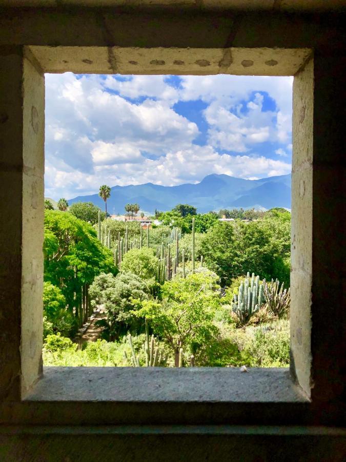 Beautiful In City's Location Apartment Oaxaca