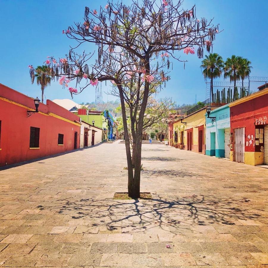Beautiful In City's Location * Oaxaca