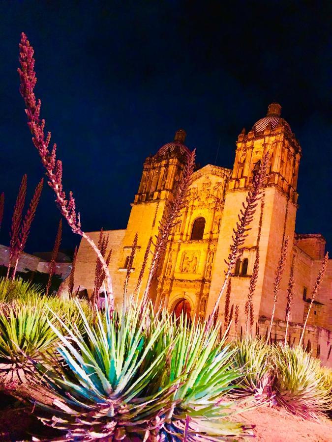 Beautiful In City's Location Oaxaca