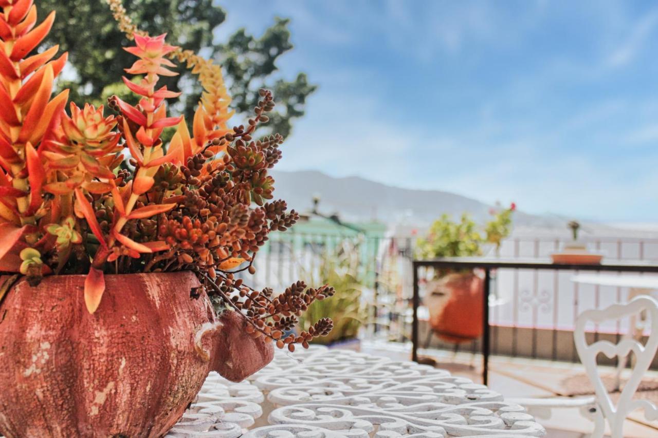 Rosa Mexicano Aparthotel *