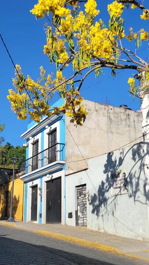 Departamentos Bonito Oaxaca