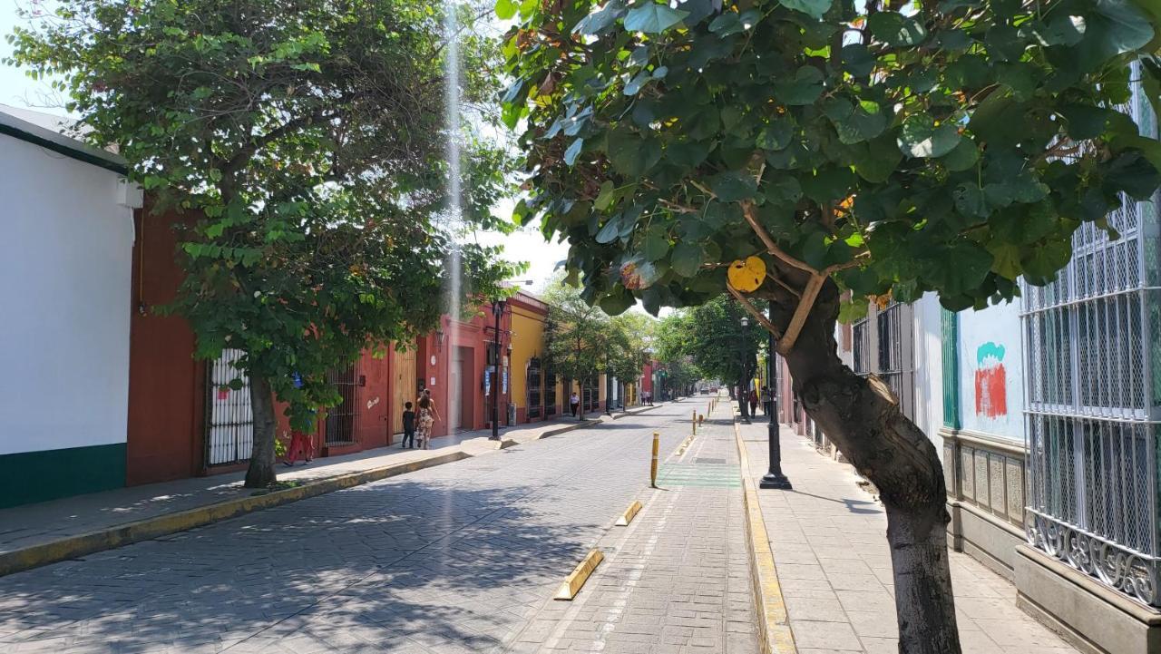 Apartment Departments Independencia Oaxaca