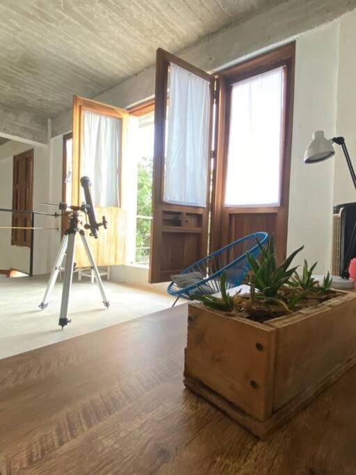Casa Leona *
