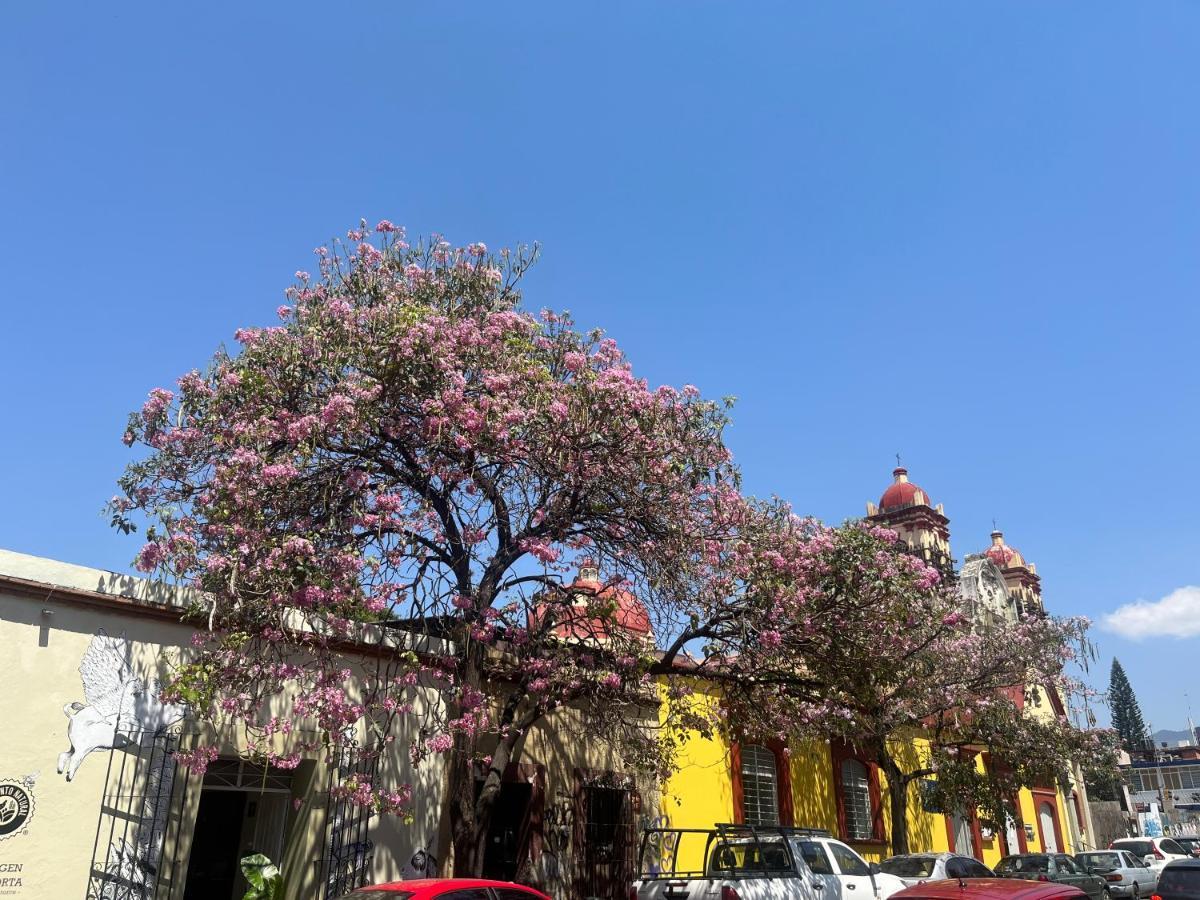 Casa California Centro Oaxaca