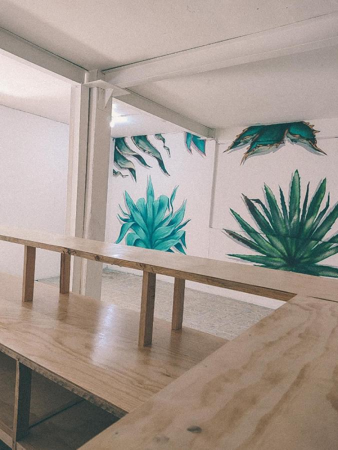 Casa Maguey Oaxaca