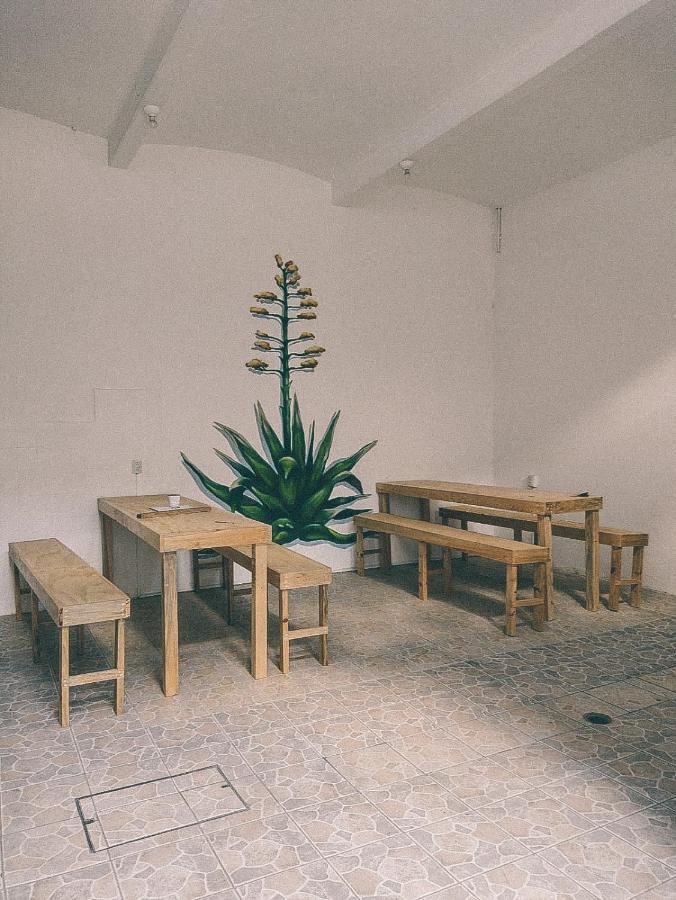 Hotel Casa Maguey
