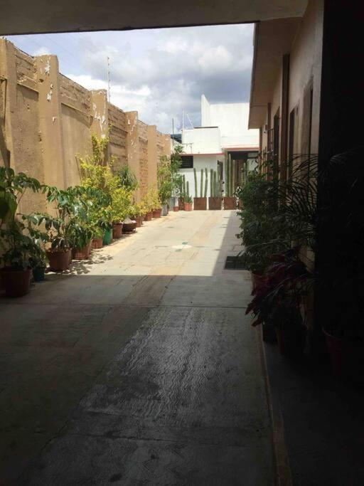 Huacales Apartamento