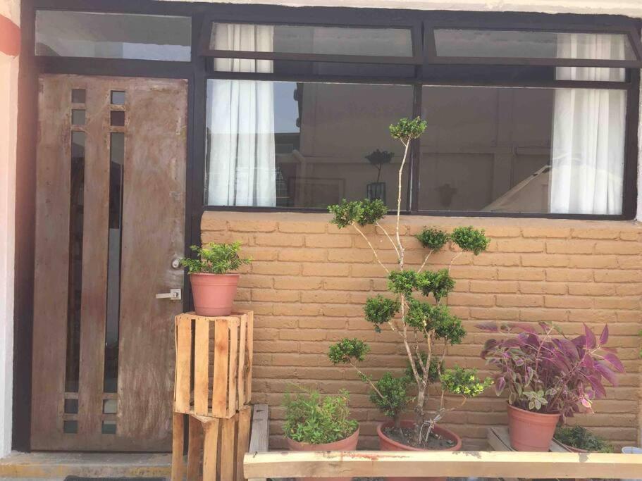 Huacales Apartamento Oaxaca