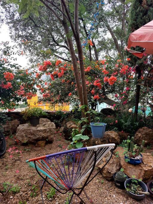 Apartamento La Pena Del Colibri