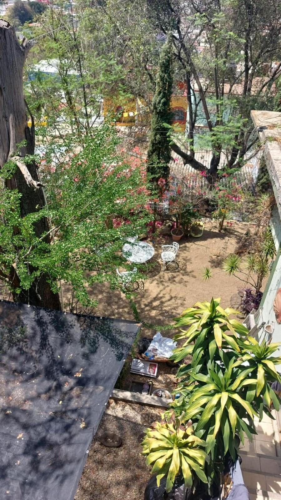 La Pena Del Colibri * Oaxaca