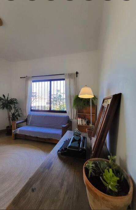 Casa Ocelote Homme Office Apartment *