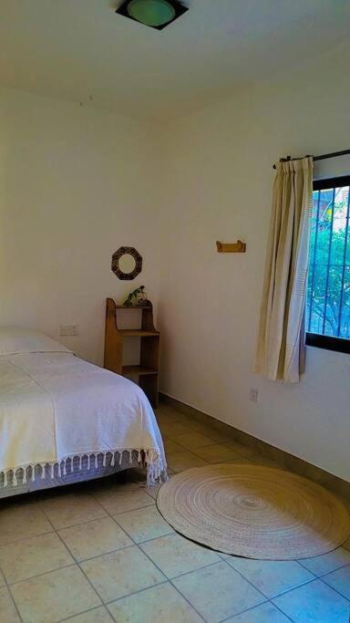 Casa Ocelote Homme Office Apartment