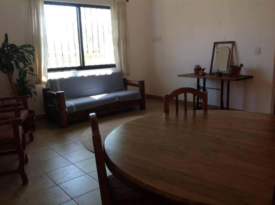 Casa Ocelote Homme Office