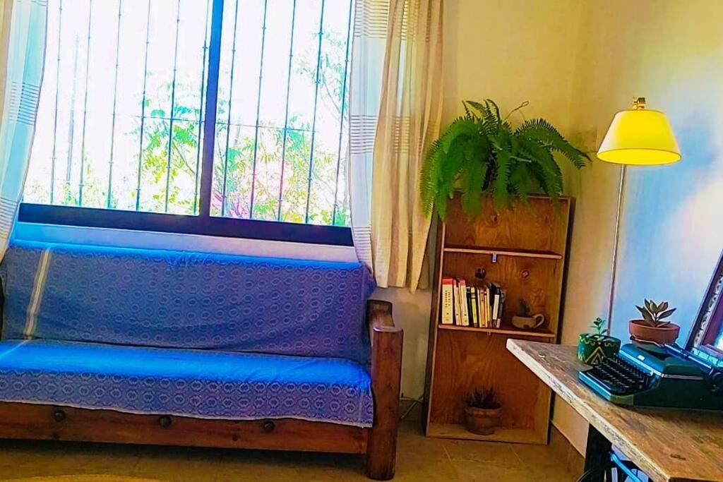 Casa Ocelote Homme Office Oaxaca