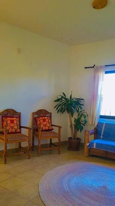 Casa Ocelote Homme Office Apartment Oaxaca