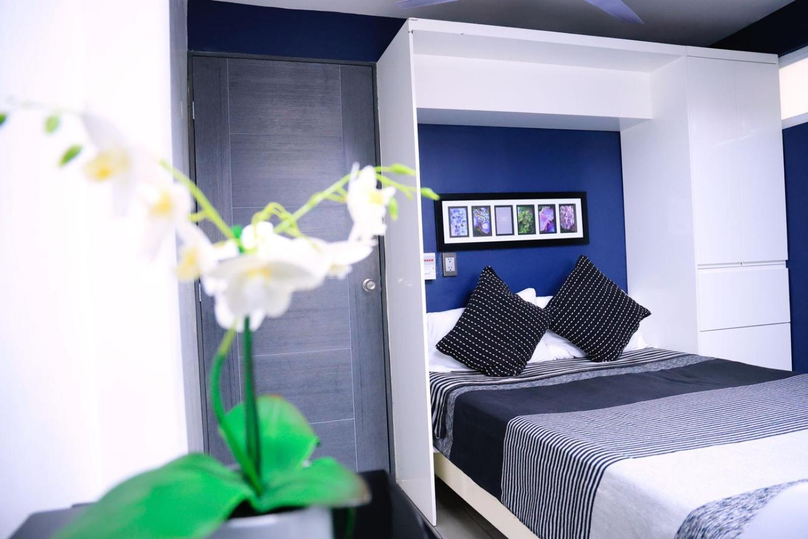 Apartment Tulipan *