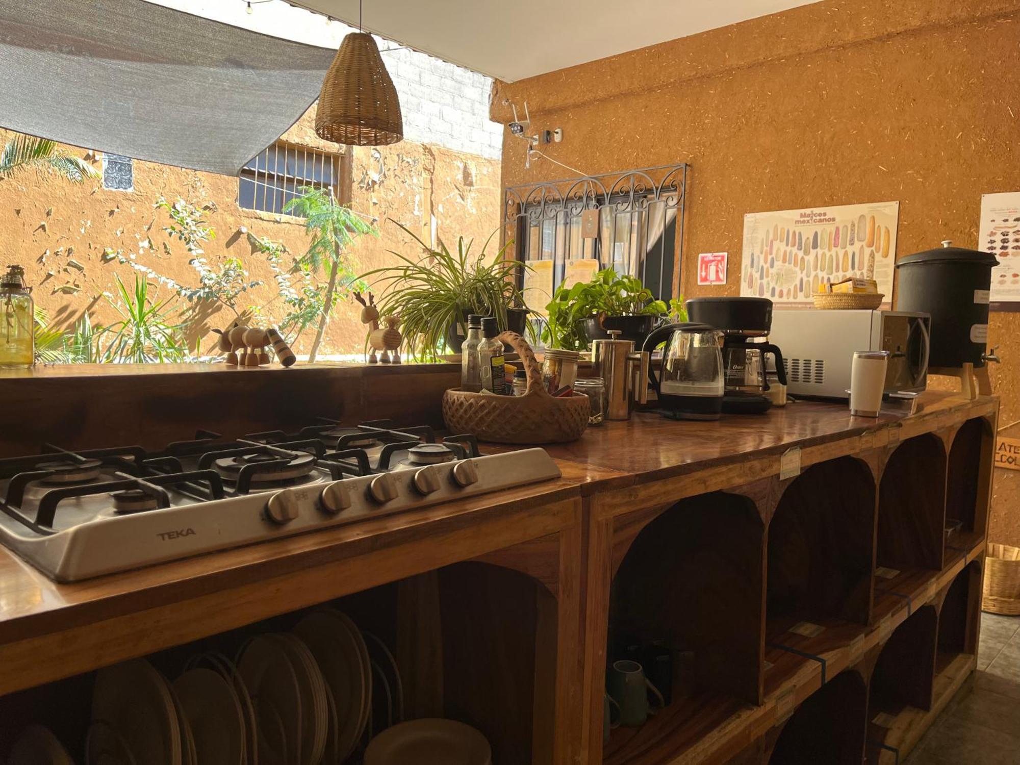 Niyana Oaxaca