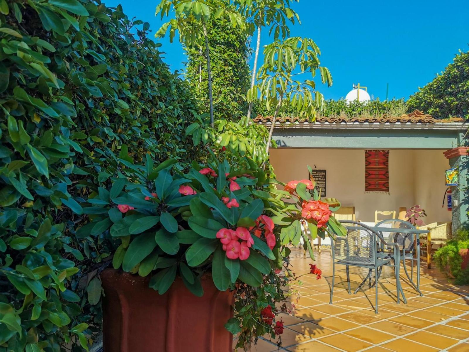 Casa Guivá Oaxaca
