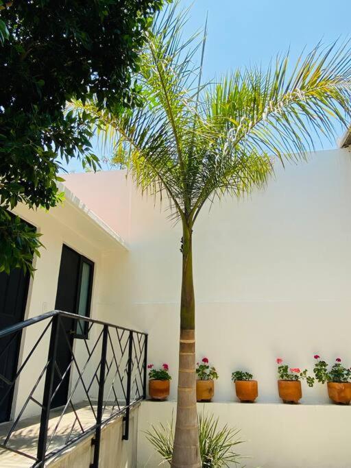 Entero Casa Tozcano Сasa de vacaciones Oaxaca