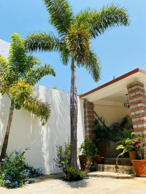 Entero Casa Tozcano * Oaxaca