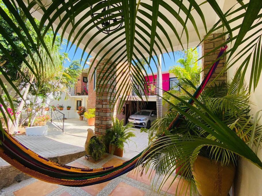 Entero Casa Tozcano Oaxaca