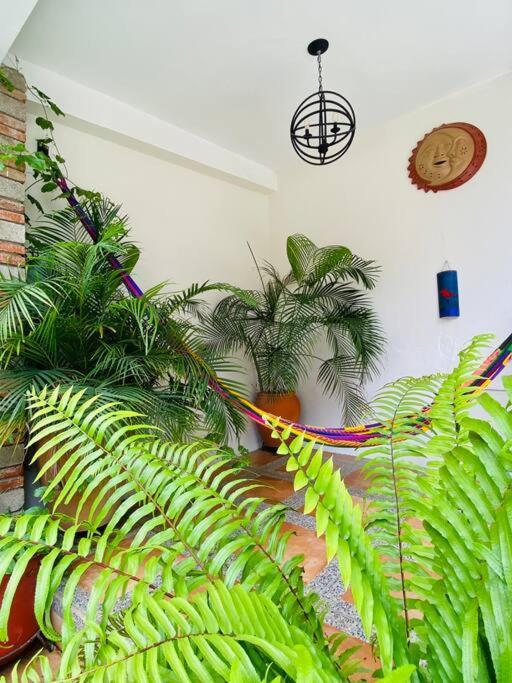 Entero Casa Tozcano Oaxaca