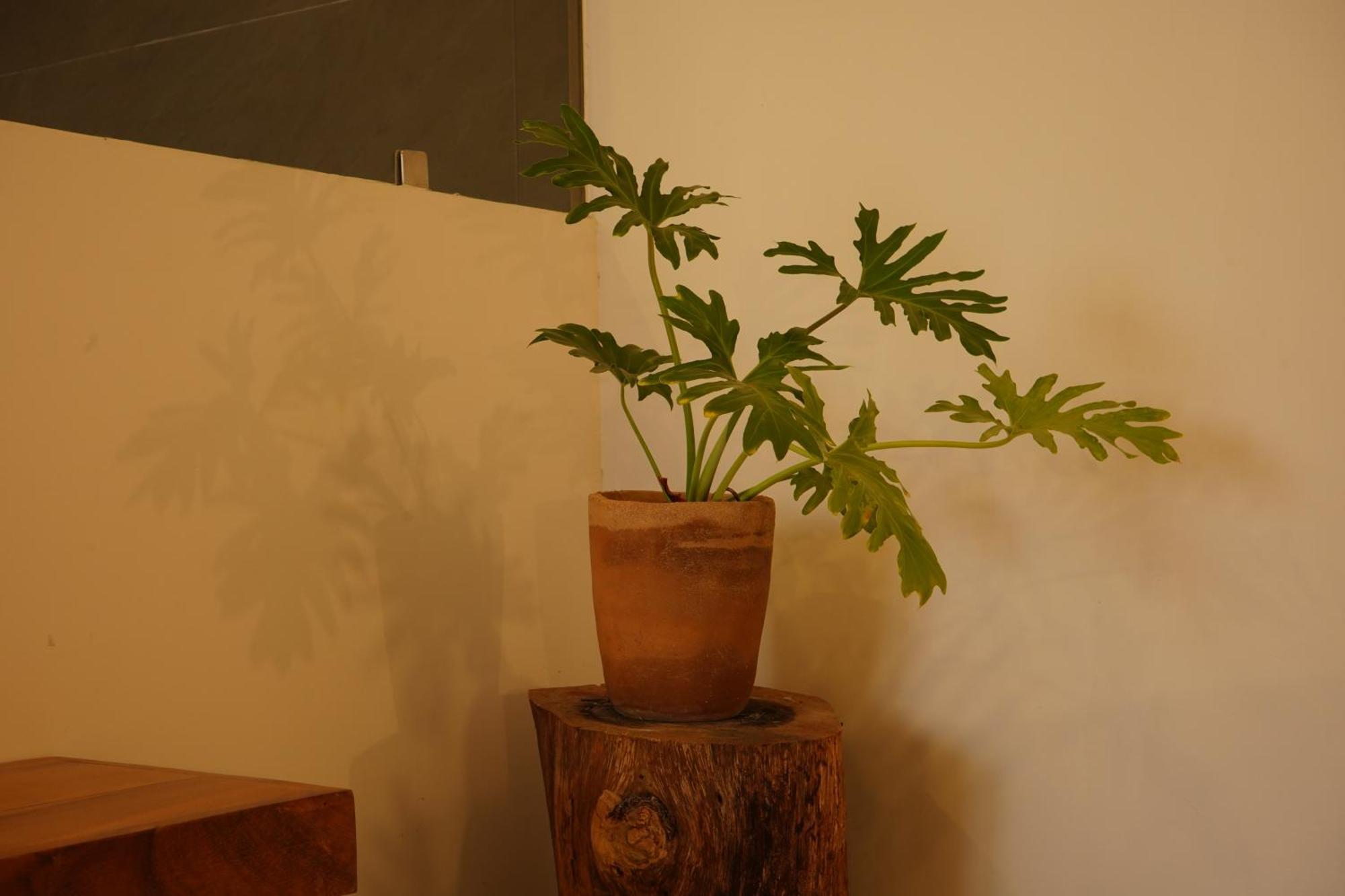 Casa Juana Oaxaca