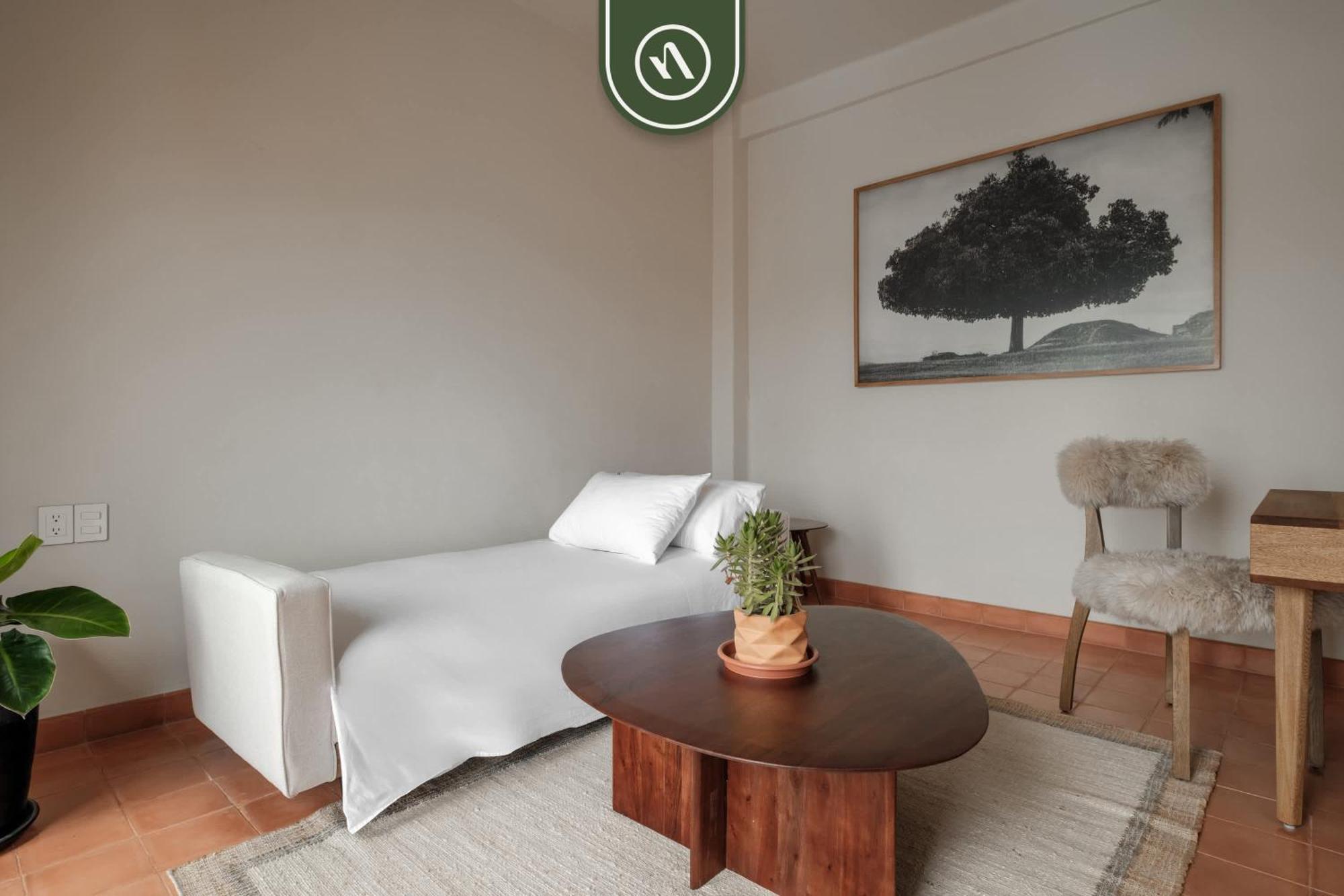 Centric 3br In Downtown In Oaxaca