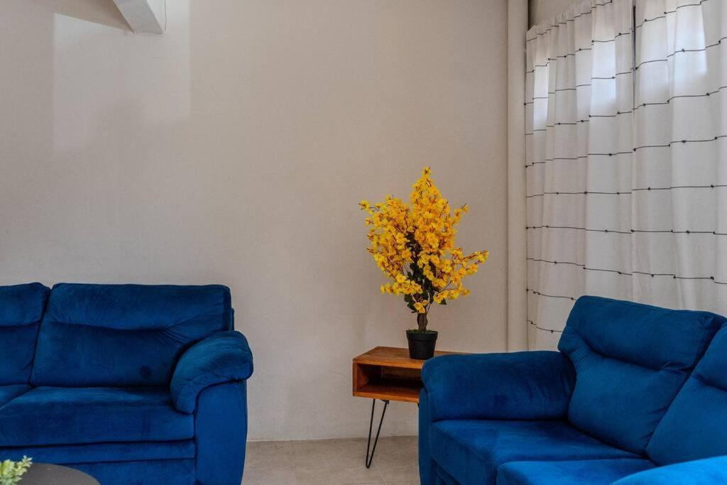 Сasa de vacaciones Casa En El Corazon De Oaxaca
