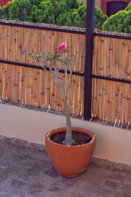 Casa En El Corazon De Сasa de vacaciones Oaxaca
