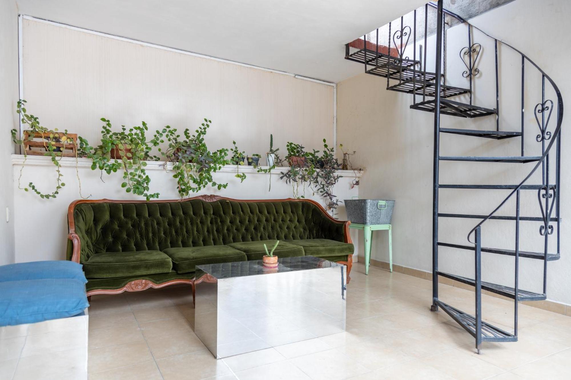 Gran Casa Amigos A 4 Cuadras Del Zocalo Holiday home