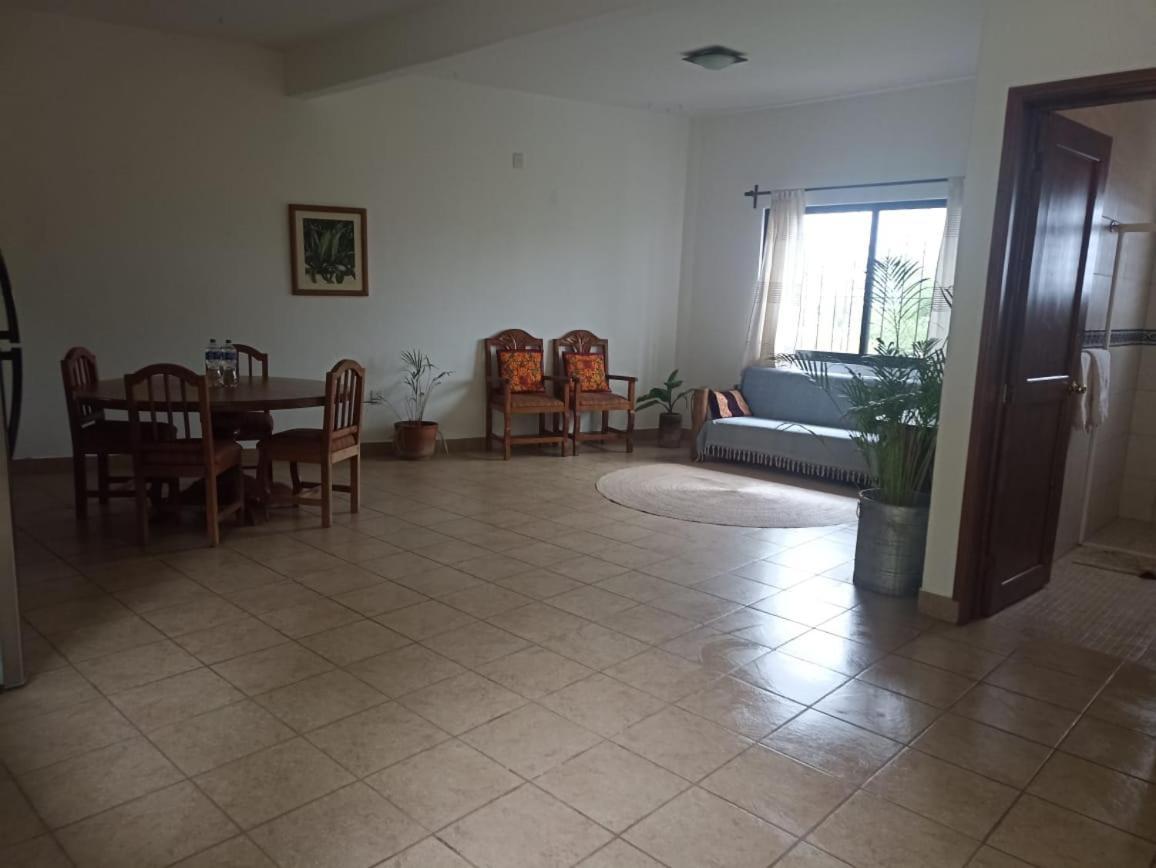Casa Ocelote Homme Office Oaxaca