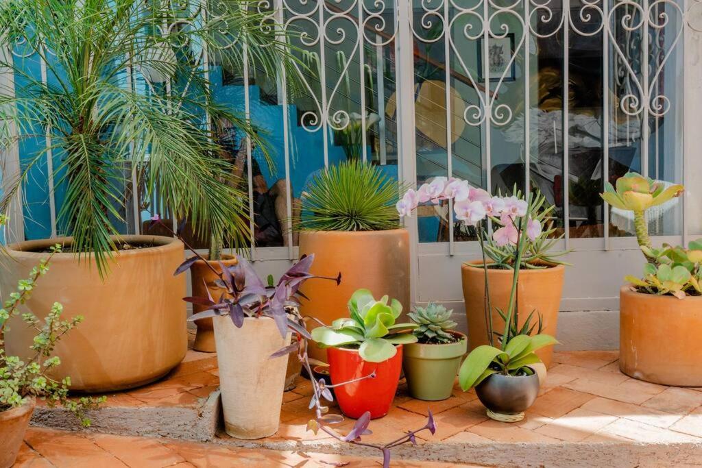 Casa Tipton - Artsy In The * Oaxaca