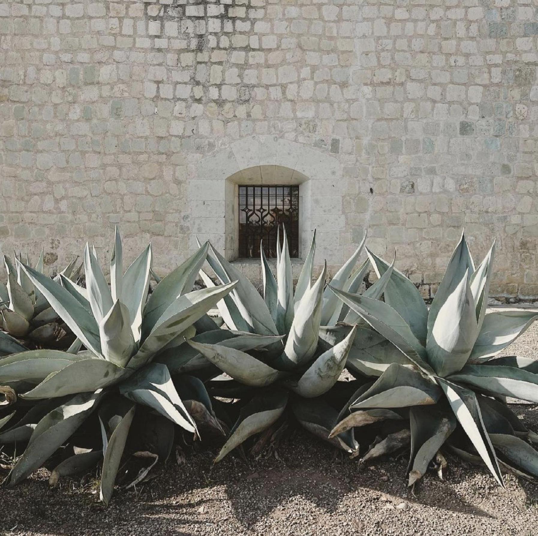 Casa Bonita Hotel&luxury Oaxaca