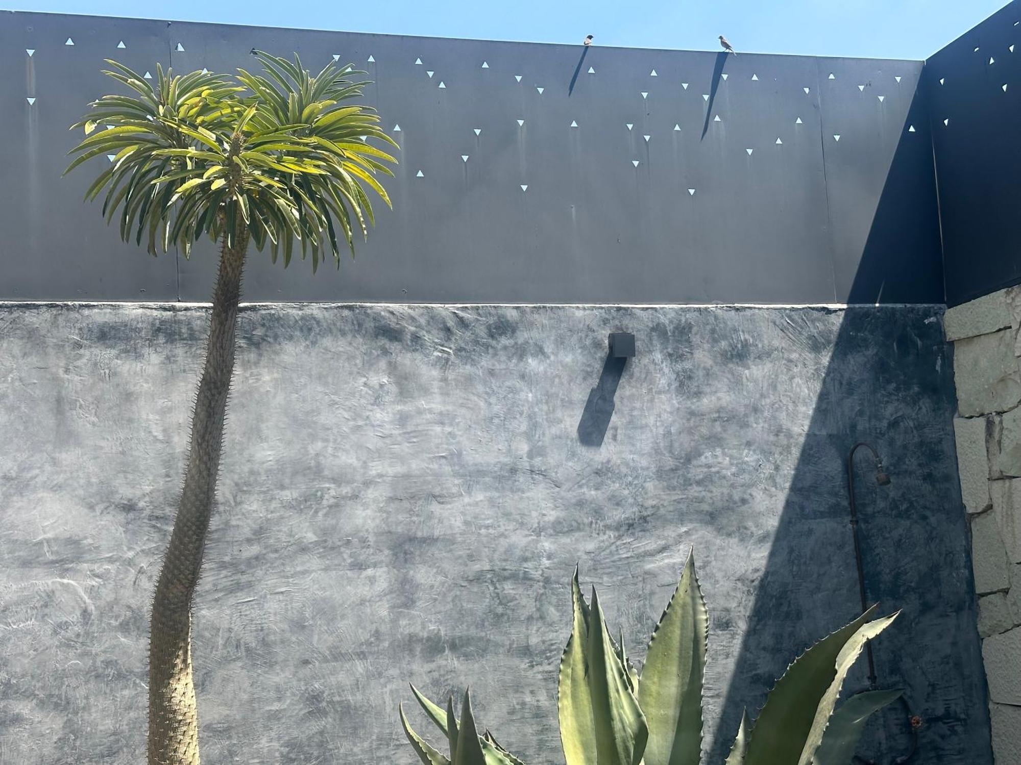 Punto Axe Guest house Oaxaca