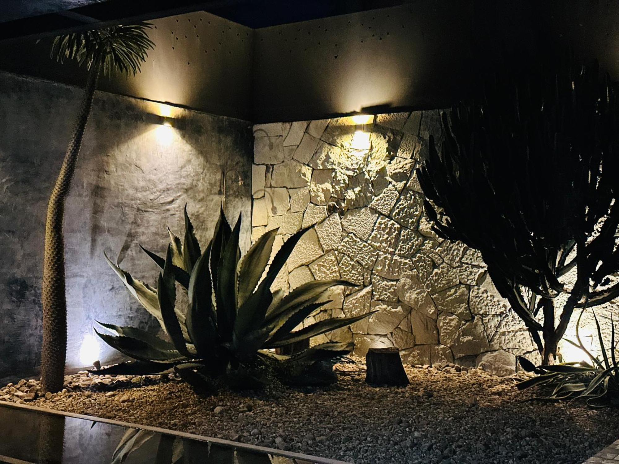 Punto Axe Guest house *
