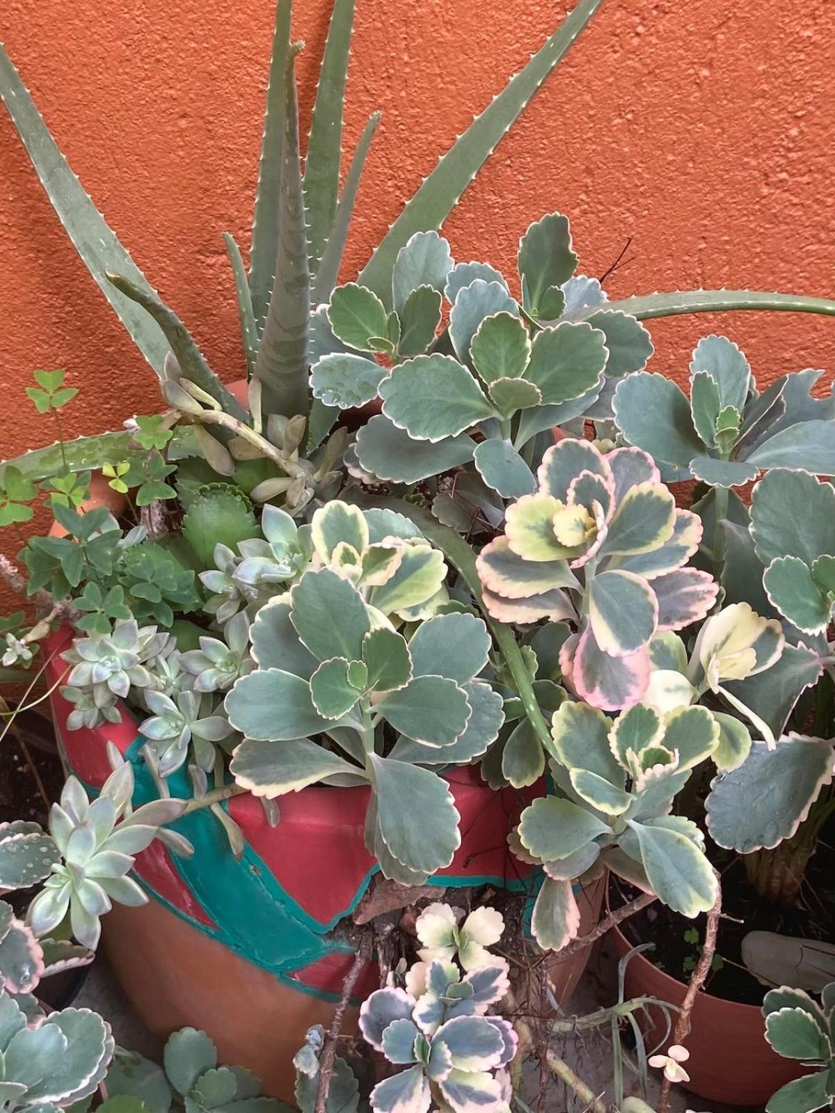 Casa Mera Mera Сasa de vacaciones Oaxaca