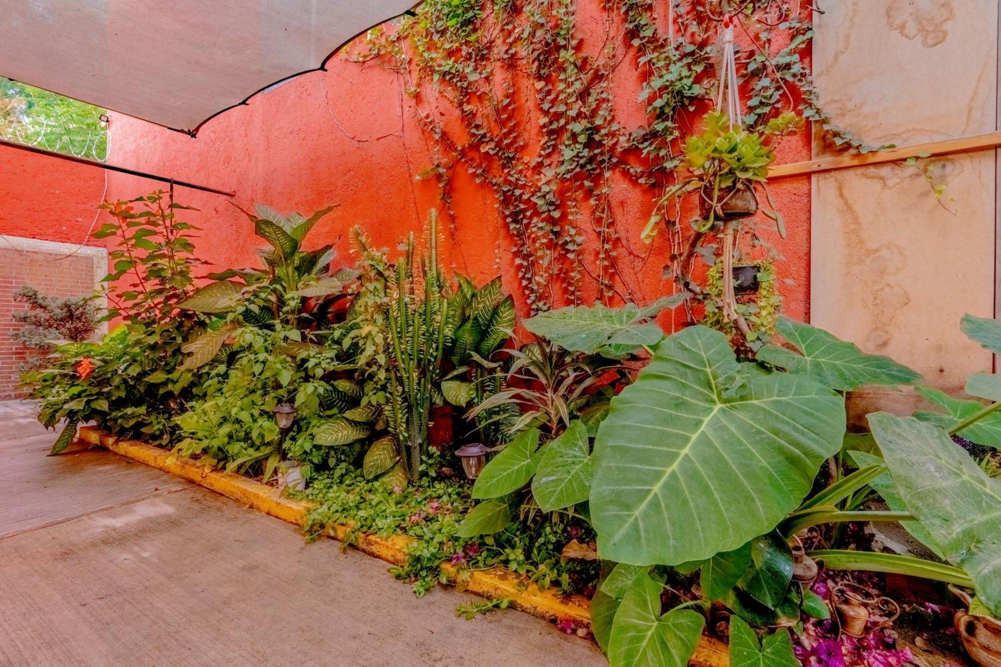 Hermosa Casa En Oaxaca