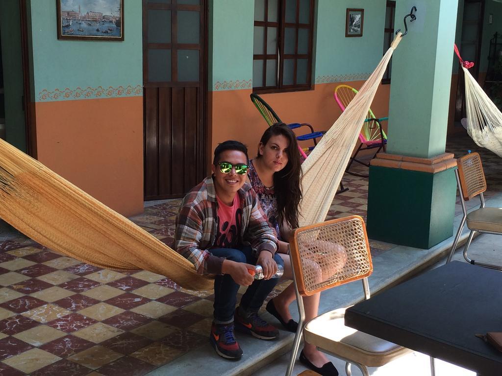 Hierba De Conejo Oaxaca