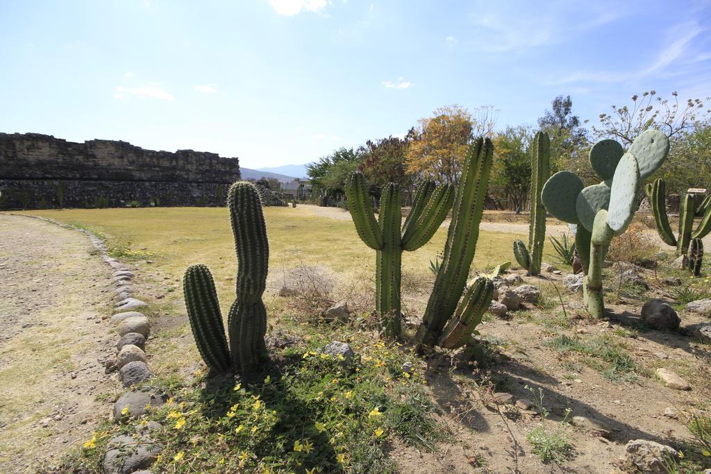 Yagul Oaxaca