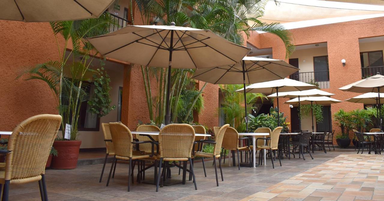 Anturium 3* Oaxaca