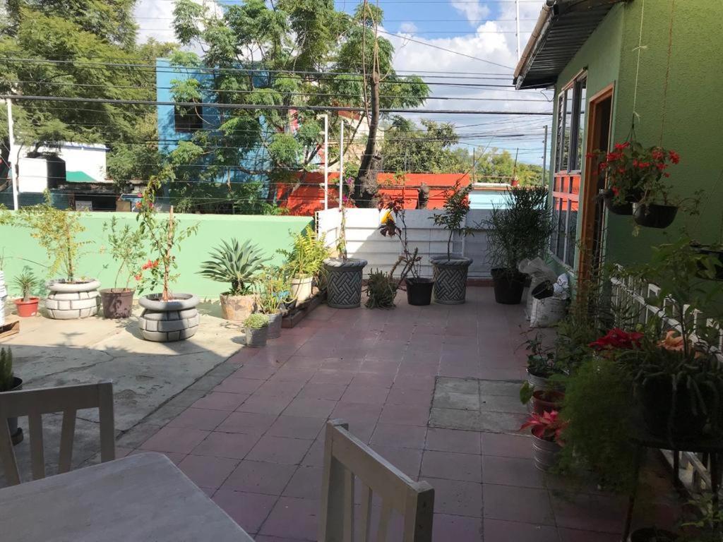 Casa Orquideas *