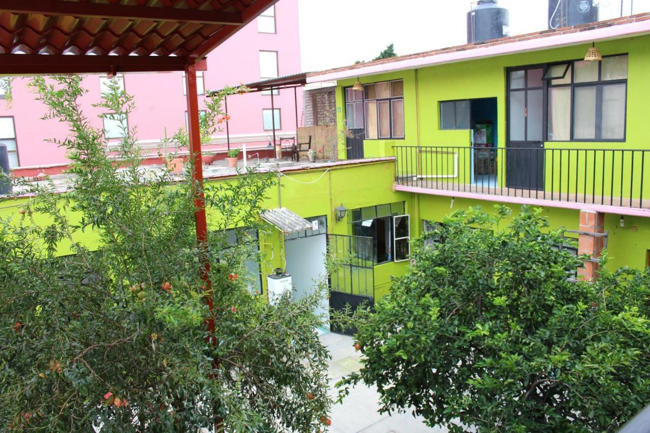 Limon 2*